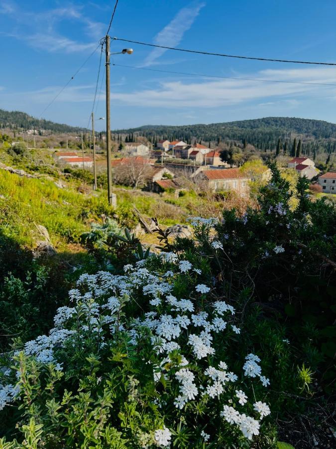 Country House Bakicevo Čilipi エクステリア 写真