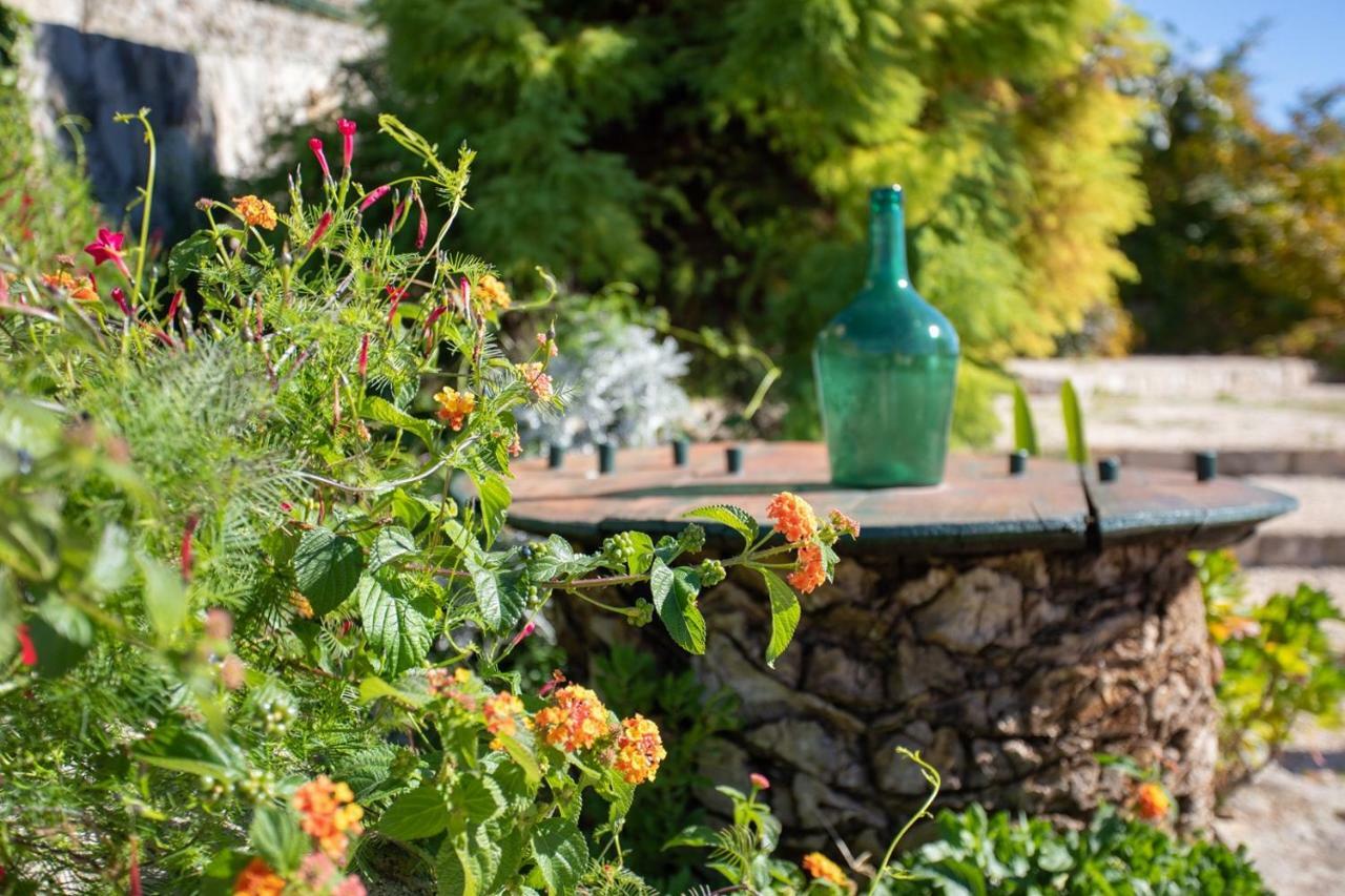 Country House Bakicevo Čilipi エクステリア 写真