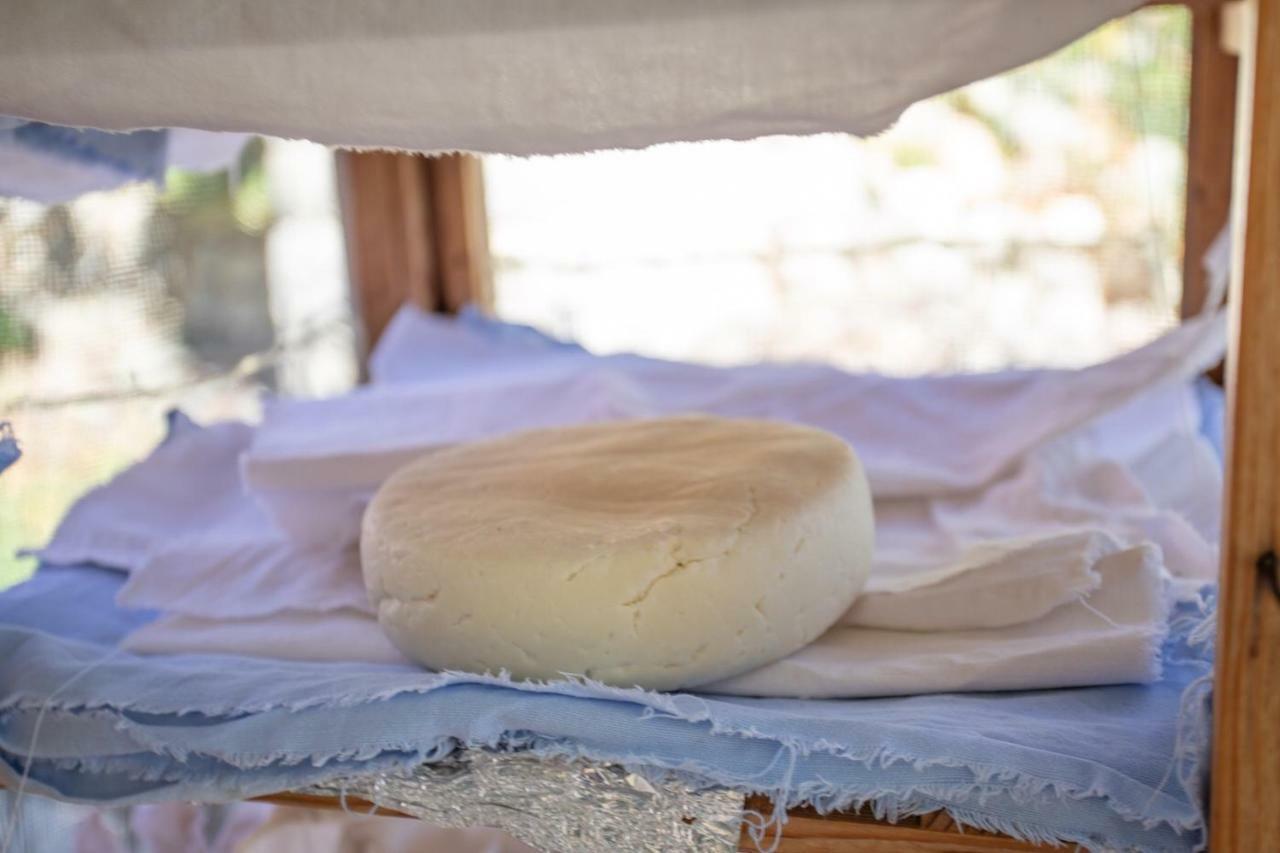 Country House Bakicevo Čilipi エクステリア 写真