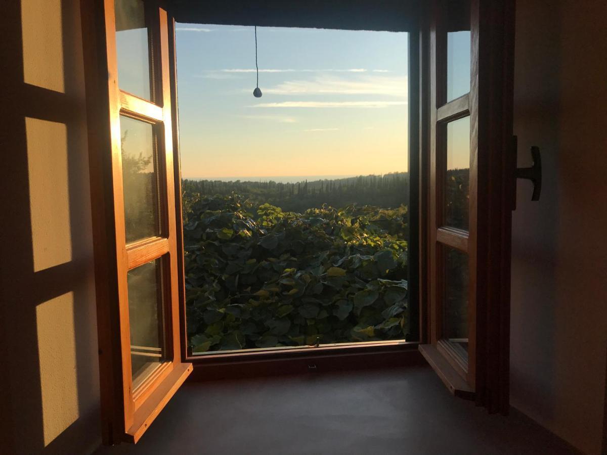 Country House Bakicevo Čilipi エクステリア 写真